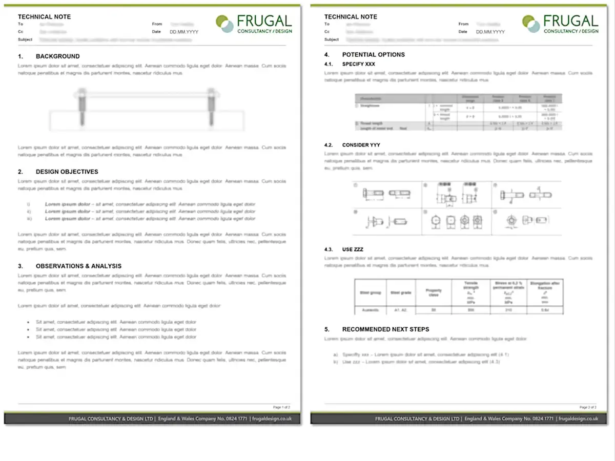 Two redacted pages from a technical note documenting the review, option comparison and recommended next steps